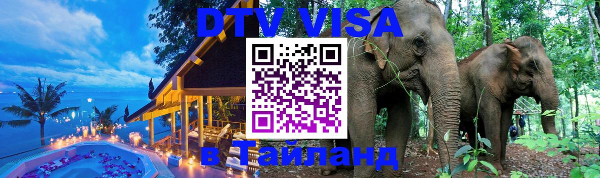 Сколько стоит DTV виза — актуальные цены, оформление даже без документов - 